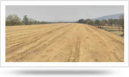 Railway Road Bed Project Chhattisgarh
between Kharsia - Dharamjaygarh